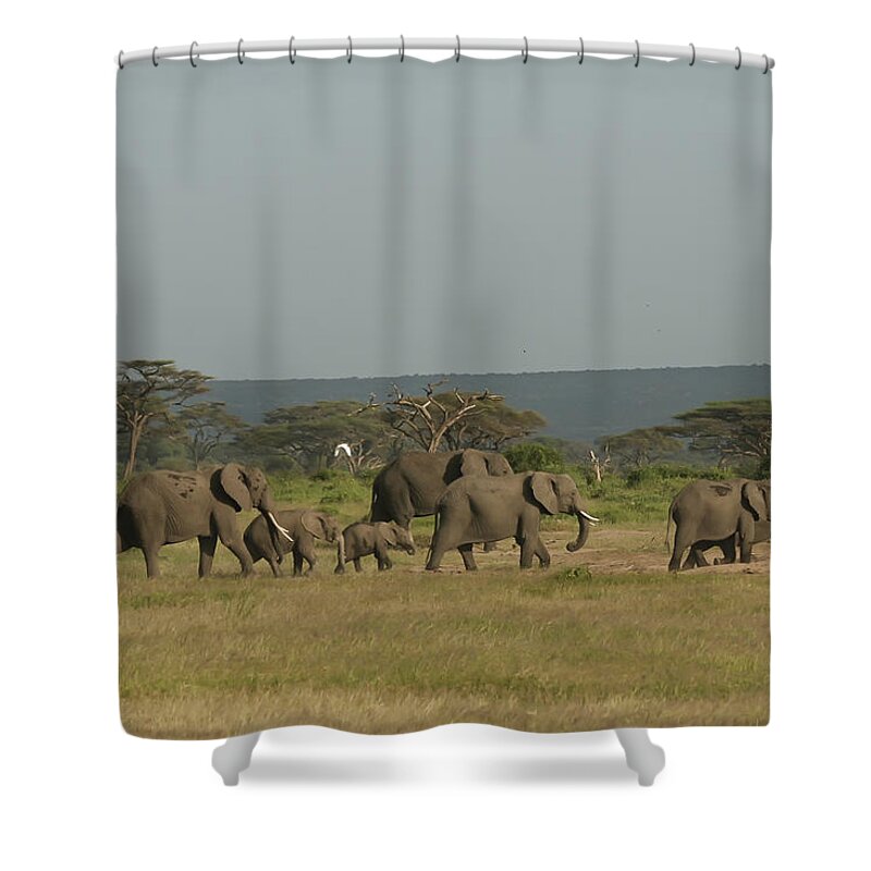 Gary Hall Shower Curtain featuring the photograph On the Move by Gary Hall