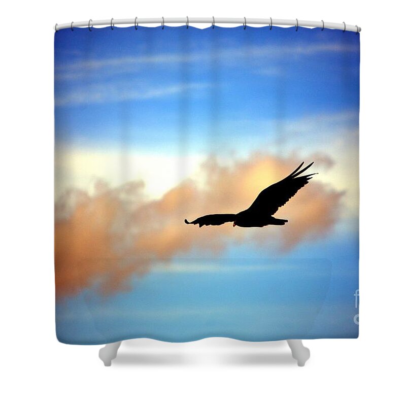 Vulture Shower Curtain featuring the photograph On the Prowl by Dani McEvoy