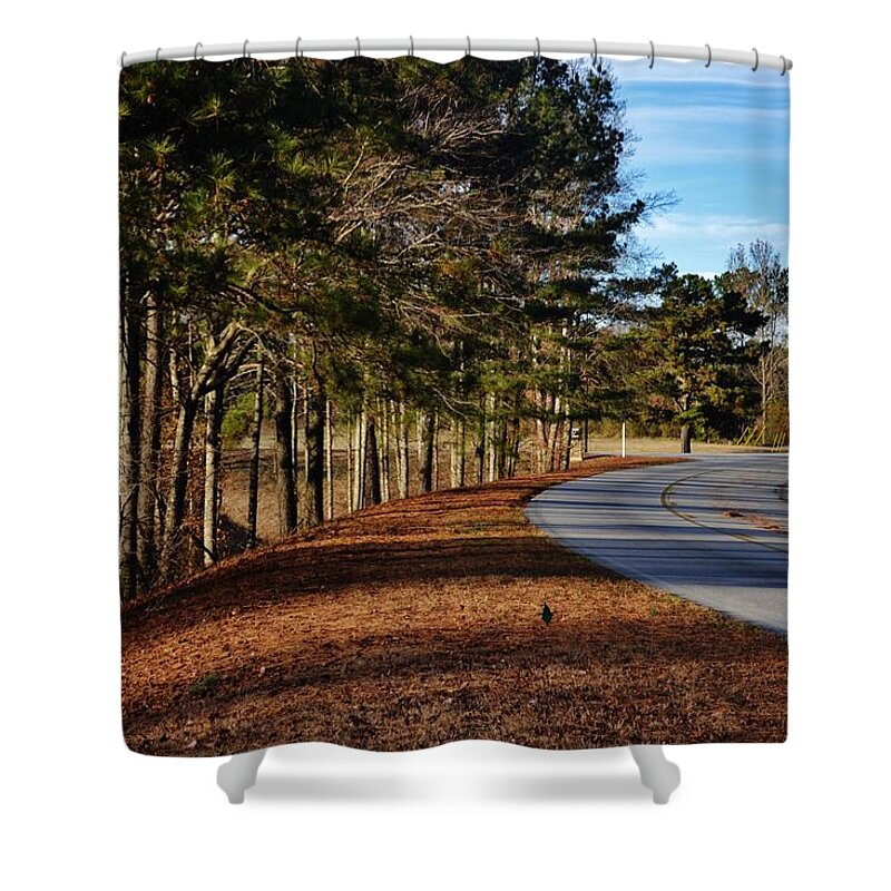 Road Shower Curtain featuring the photograph On The Road Again by Eileen Brymer