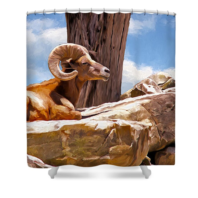 Ram Shower Curtain featuring the painting On the Rocks by Rick Mosher