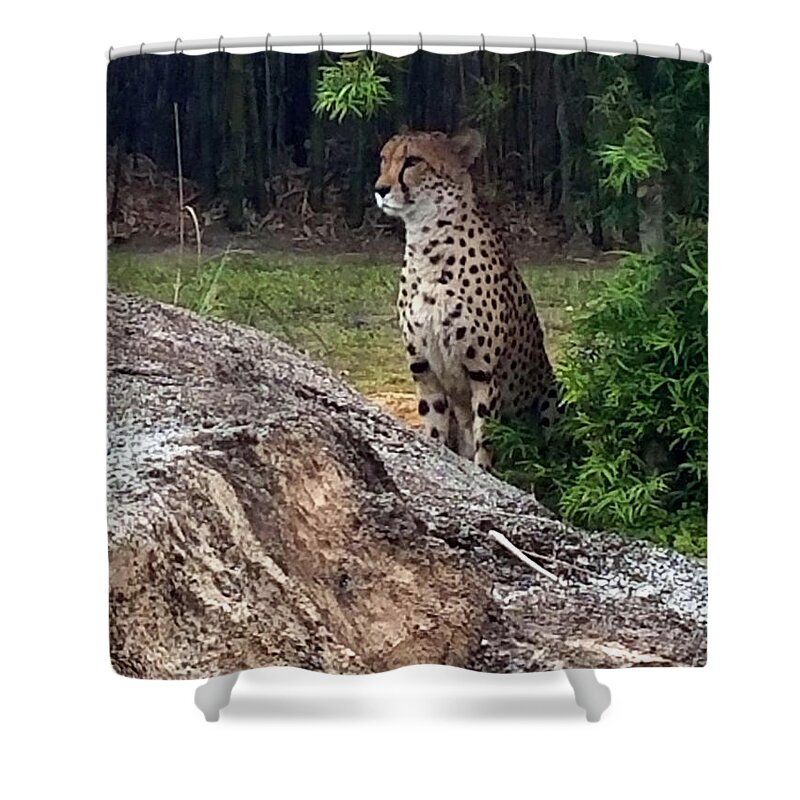 Wildlife Shower Curtain featuring the photograph On Watch by Rick Redman