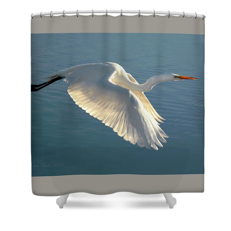 Wildlife Shower Curtain featuring the photograph On Wings of Splendor by Brian Tada