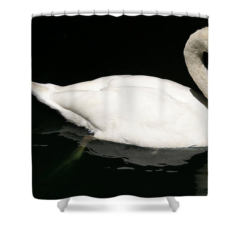 Swan Shower Curtain featuring the photograph Once Upon Reflection by Linda Shafer