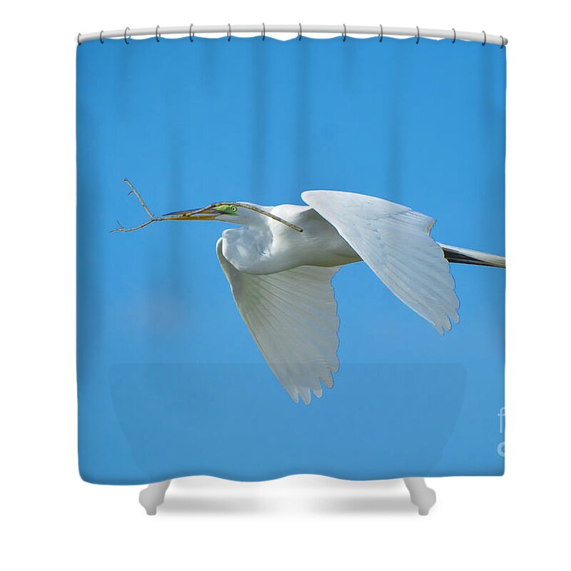 Great Shower Curtain featuring the photograph One By One by Quinn Sedam