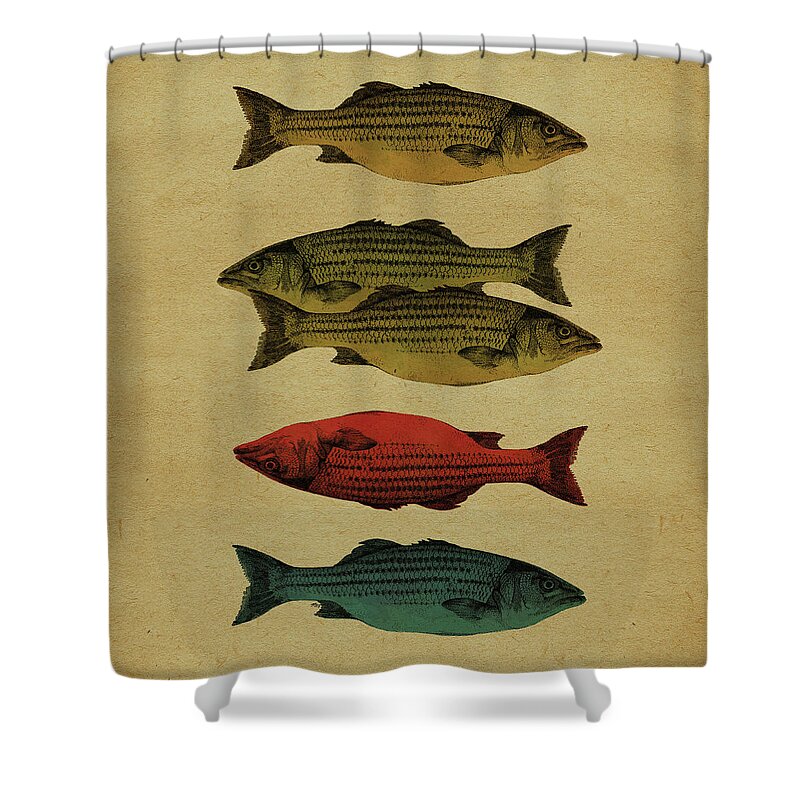 Fish Shower Curtain featuring the drawing One fish, two fish . . . by Meg Shearer