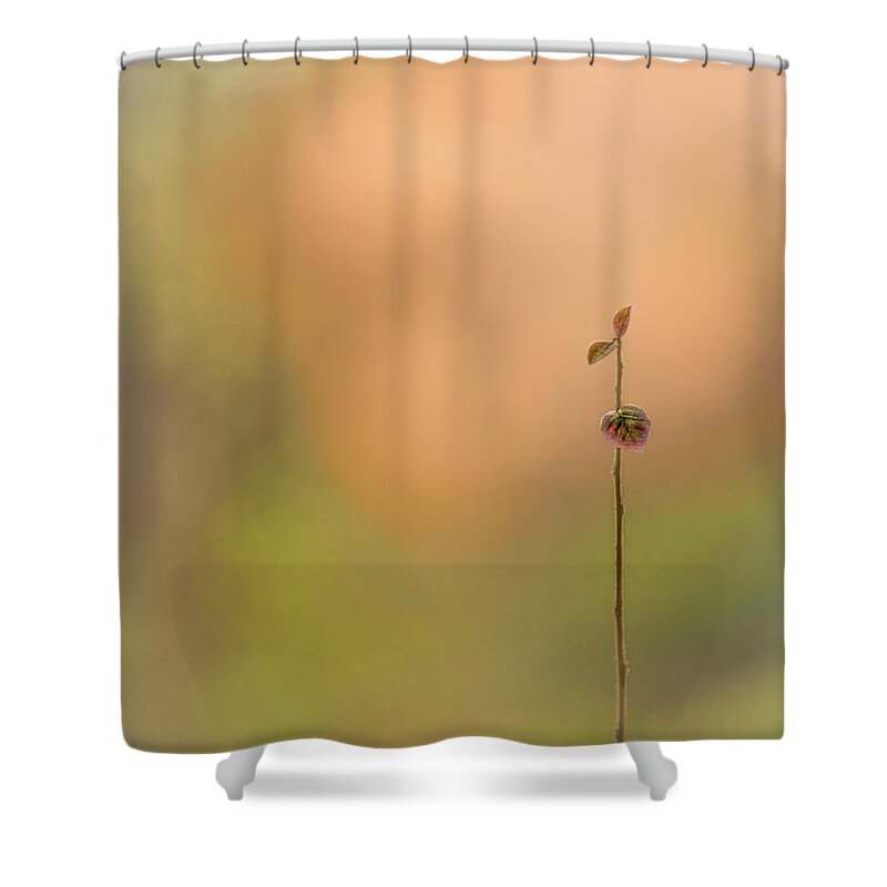 Landscape Shower Curtain featuring the photograph oNe by Gene Garnace