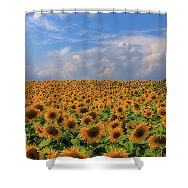 Personality Shower Curtain featuring the photograph One in a Million by Rob Davies