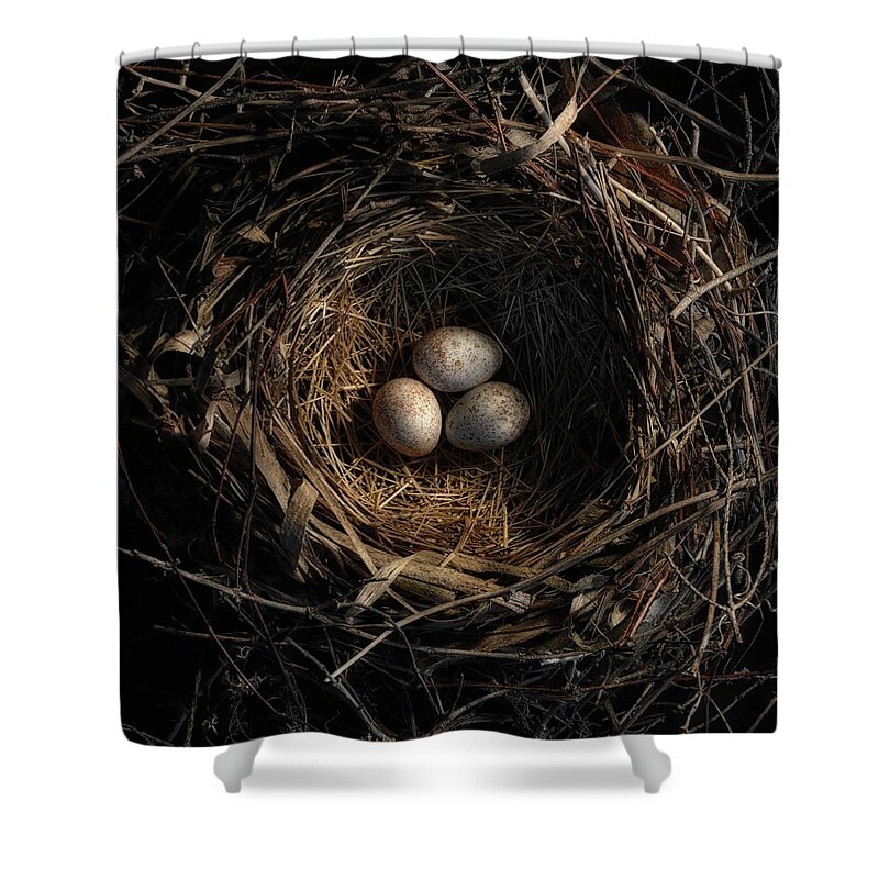 Egg Shower Curtain featuring the photograph One of the most private things in the world is an egg until it is broken MFK Fisher by Mark Fuller