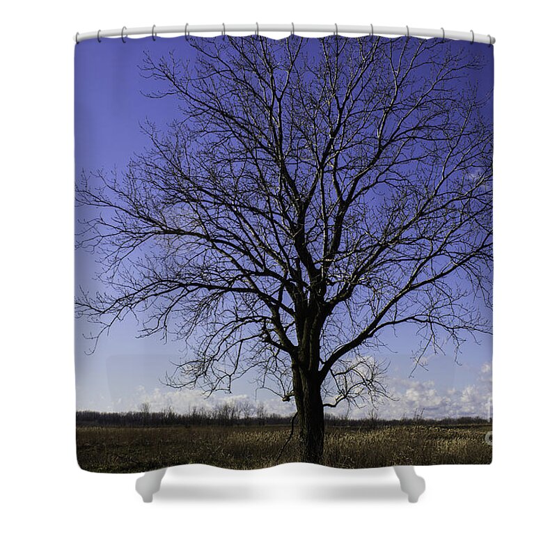 Tree Shower Curtain featuring the photograph One Tree by Doug Daniels