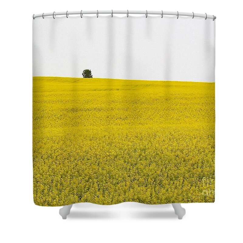 Photograph Shower Curtain featuring the photograph One Tree Mustard Flower Fields by Delynn Addams