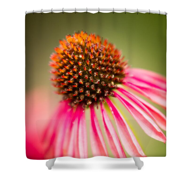 2014 Shower Curtain featuring the photograph One by Wade Brooks