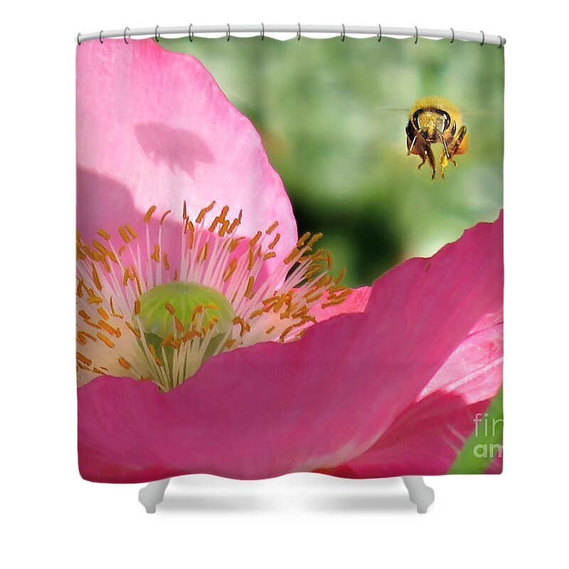 Bee Shower Curtain featuring the photograph One With the Bee by Jennie Breeze