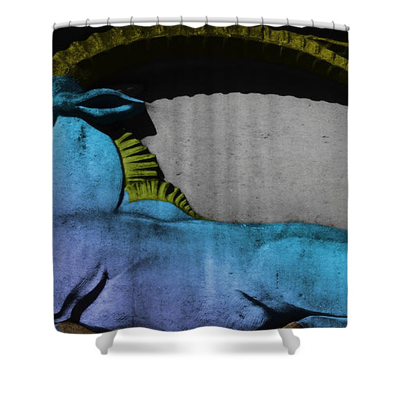 Animal Shower Curtain featuring the photograph Onix on the square by Emme Pons