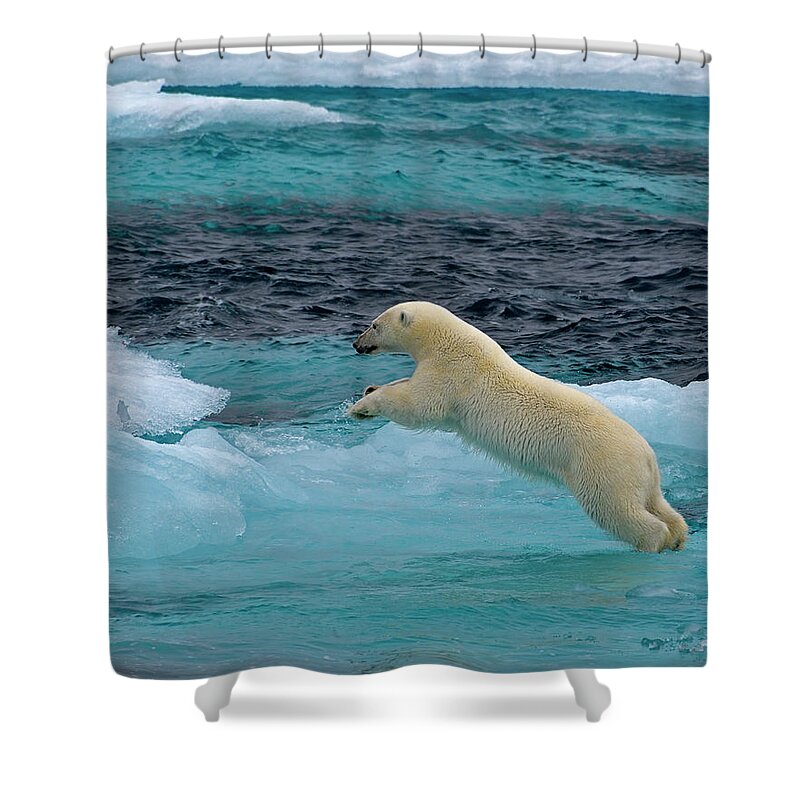 Polar Bear Shower Curtain featuring the photograph Onto The Blue by Tony Beck