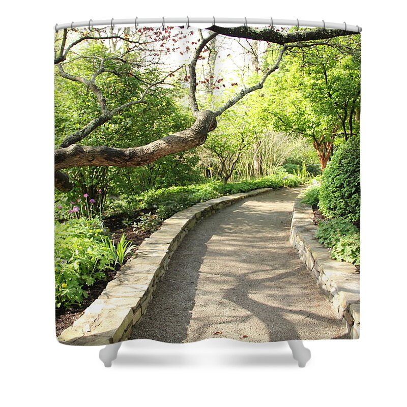 Path Shower Curtain featuring the photograph Open Paths by Allen Nice-Webb