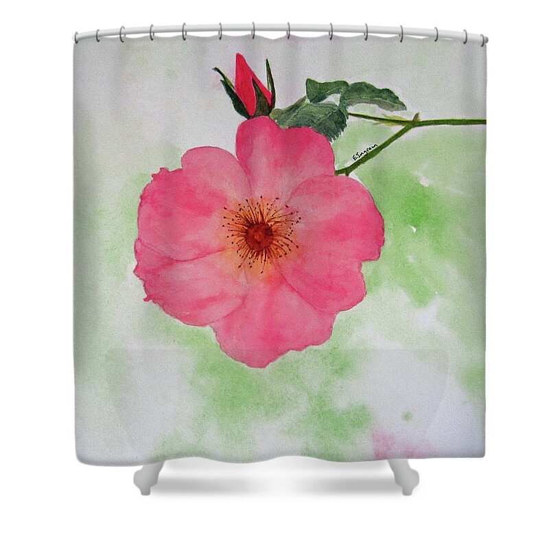 Floral Shower Curtain featuring the painting Open Rose by Elvira Ingram