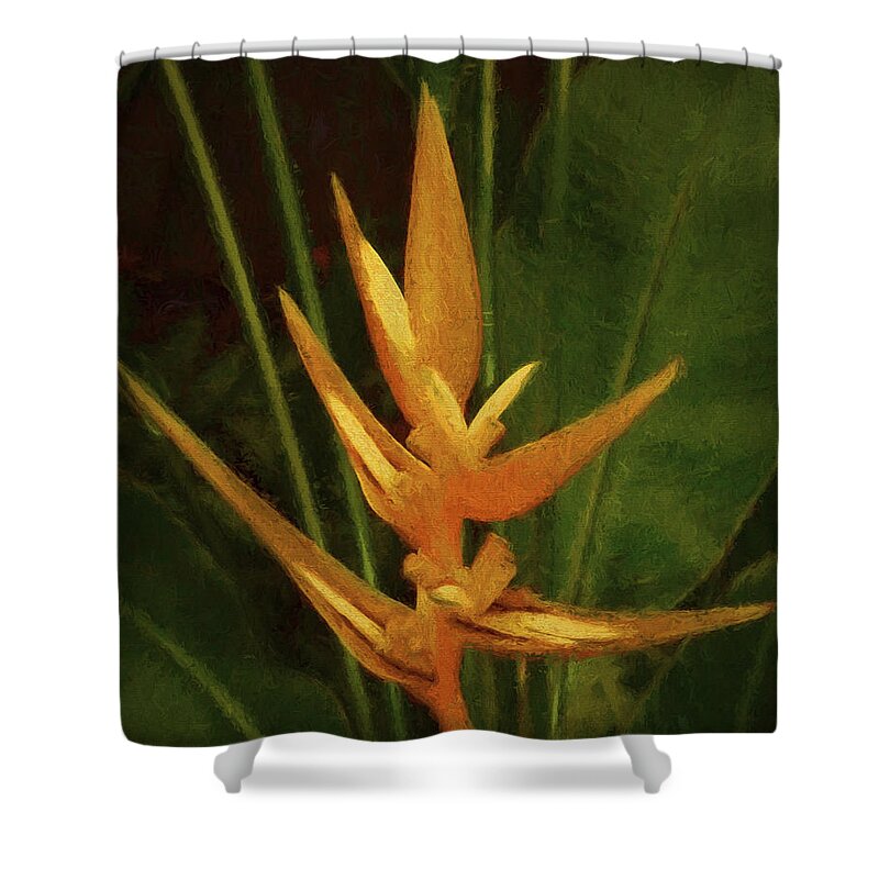 Art Prints Shower Curtain featuring the photograph Orange Art by Dave Bosse