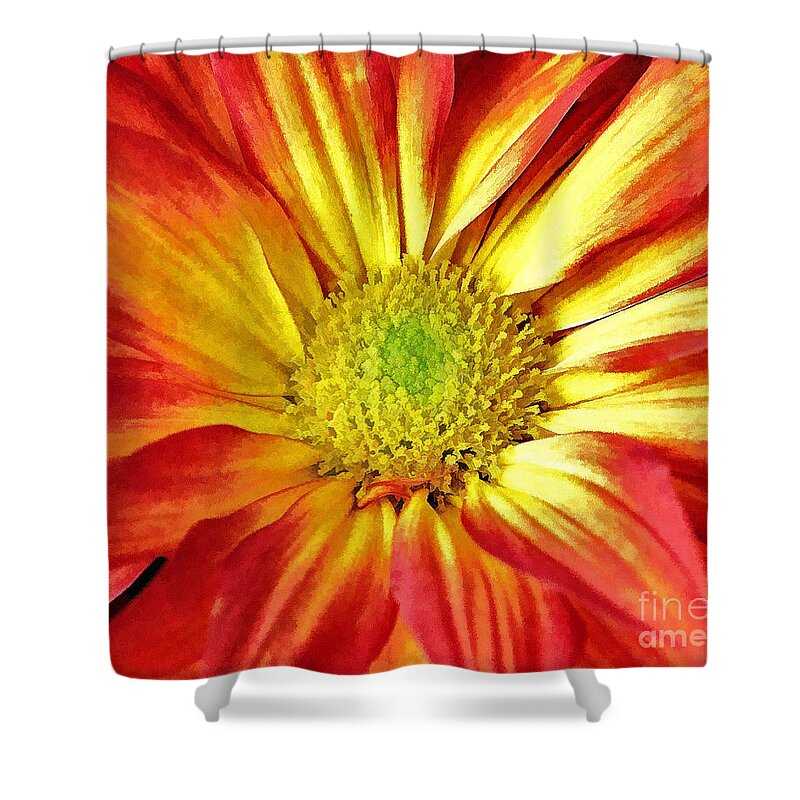 Flower Shower Curtain featuring the photograph Orange Burst by Allen Beatty