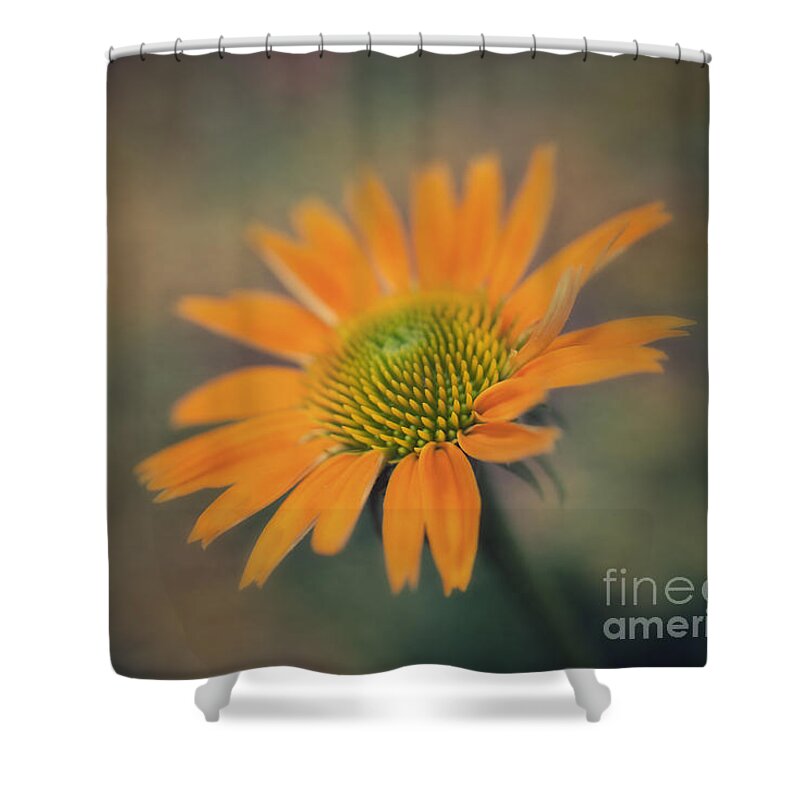Echinacea Shower Curtain featuring the photograph Orange Echinacea Dreams by Susan Gary
