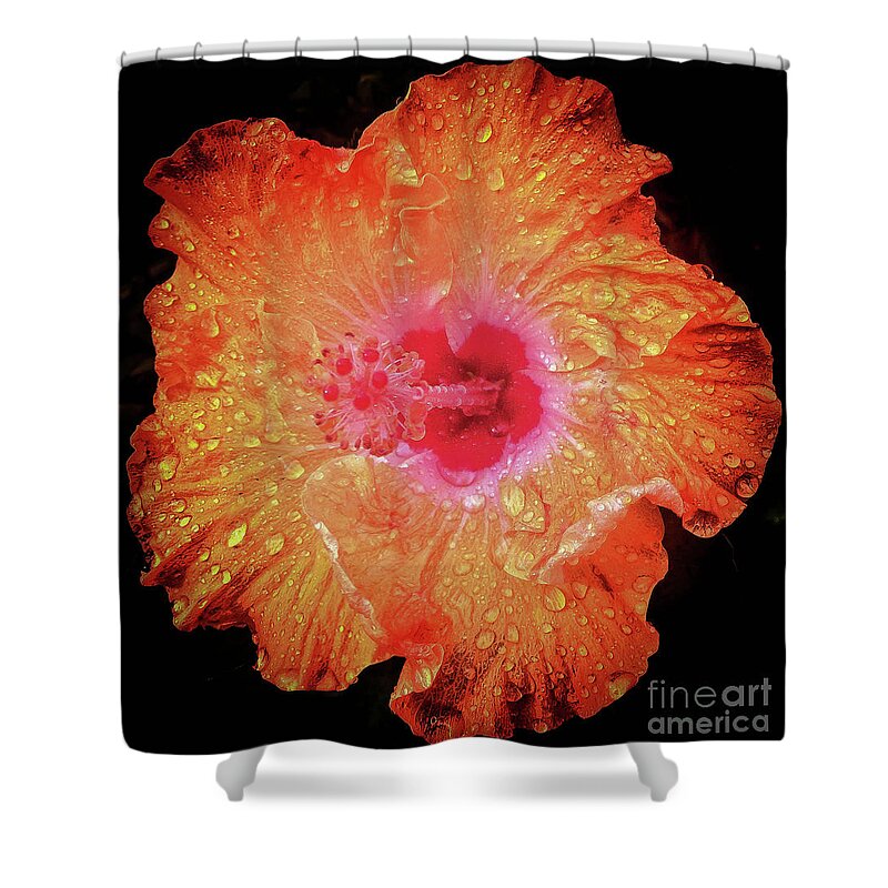 Flower Shower Curtain featuring the photograph Orange Hibiscus by Barry Bohn