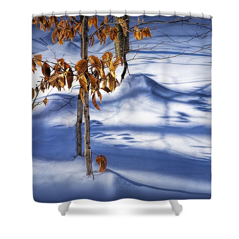 Autumn Shower Curtain featuring the photograph Orange Leaves in the Winter Snow by Randall Nyhof