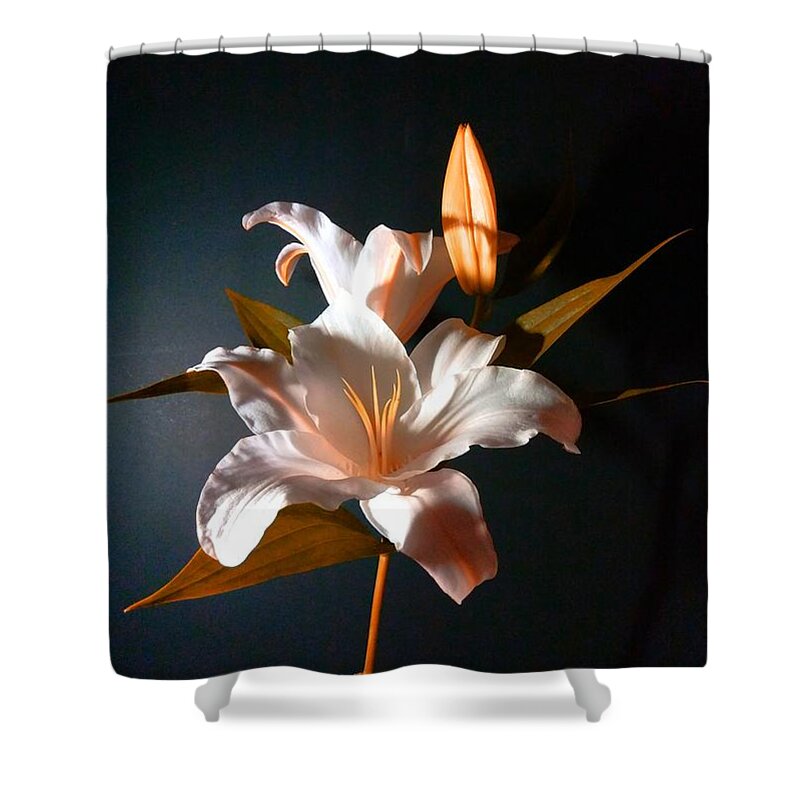 Digital Art Shower Curtain featuring the photograph Orange Lily by Delynn Addams