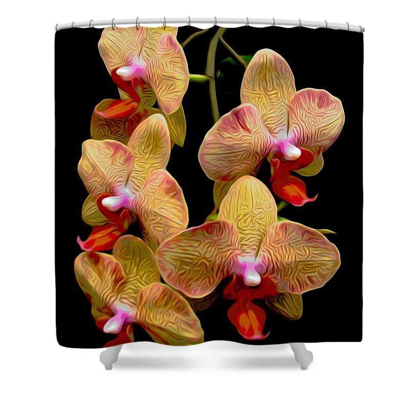 Orange Phalaenopsis Orchids With Chinese Lantern Effect Shower Curtain featuring the photograph Orange Phalaenopsis Orchids with Chinese Lantern Effect by Rose Santuci-Sofranko