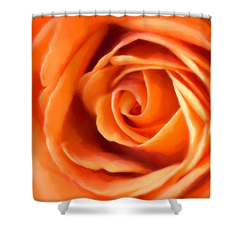 Rose Shower Curtain featuring the photograph Orange Rose by Cindi Ressler