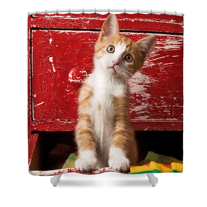 Kitten Shower Curtain featuring the photograph Orange tabby kitten in red drawer by Garry Gay