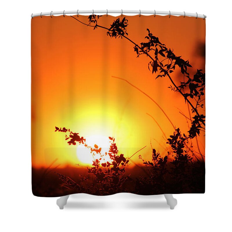 Orange Shower Curtain featuring the photograph Orange Wonder by Karen Wagner