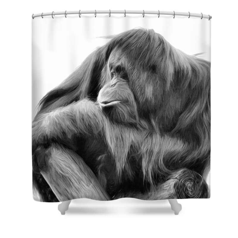 Animal Shower Curtain featuring the photograph Orangutan by Lana Trussell
