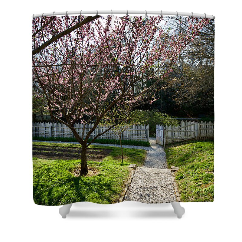 Colonial Williamsburg Shower Curtain featuring the photograph Orchard in the Springtime by Rachel Morrison