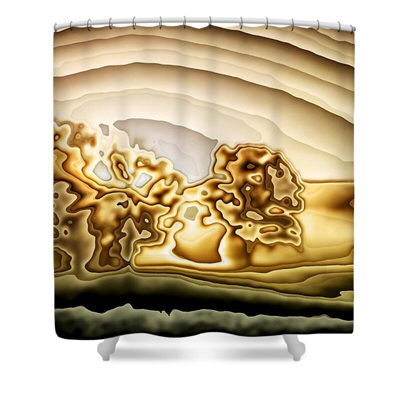 Landscape Shower Curtain featuring the digital art Orchard Sunset by Ronald Bissett