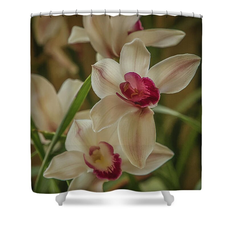 Beautiful Shower Curtain featuring the photograph Orchid Beauty by Teresa Wilson