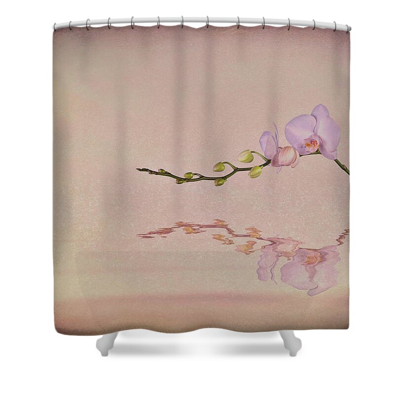 Art Shower Curtain featuring the photograph Orchid Blooms and Buds by Tom Mc Nemar