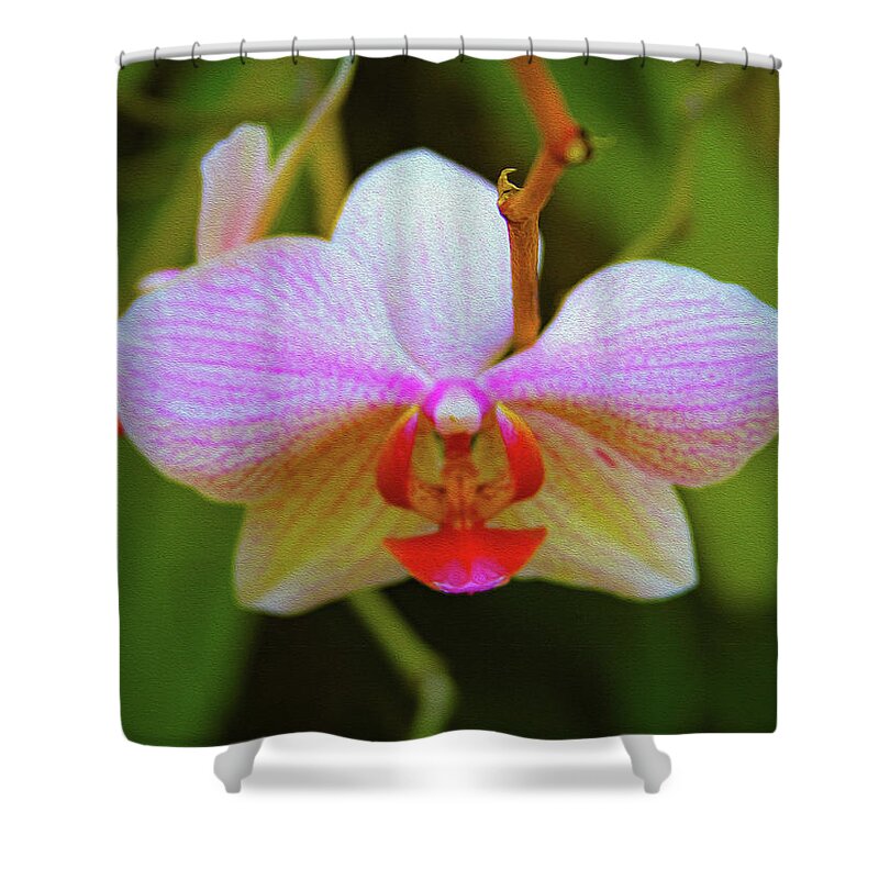 Bonnie Follett Shower Curtain featuring the photograph Orchid Blush by Bonnie Follett
