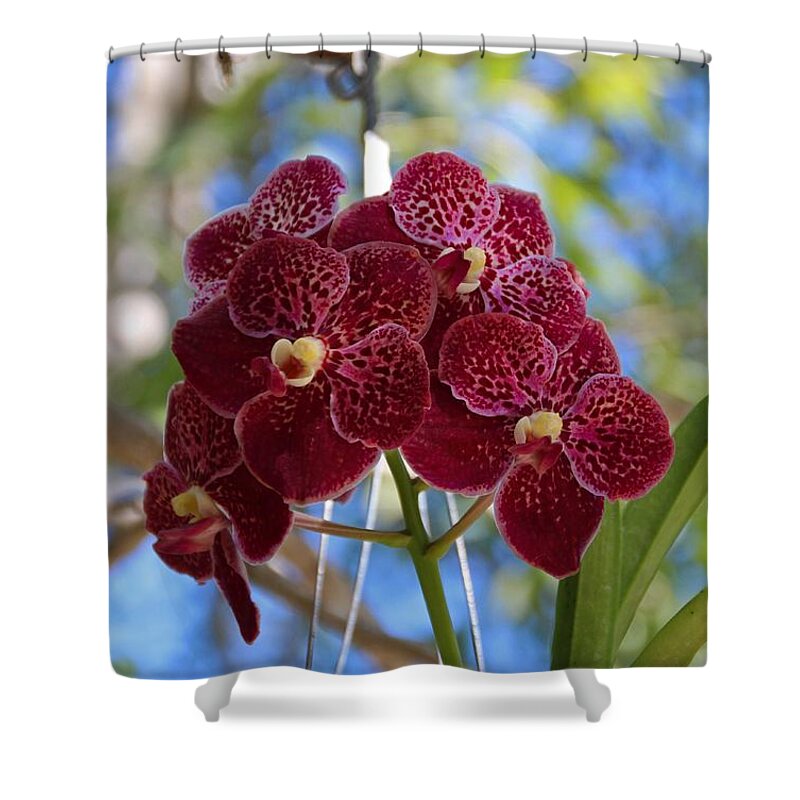 Red Shower Curtain featuring the photograph Orchid Bouquet by Michiale Schneider
