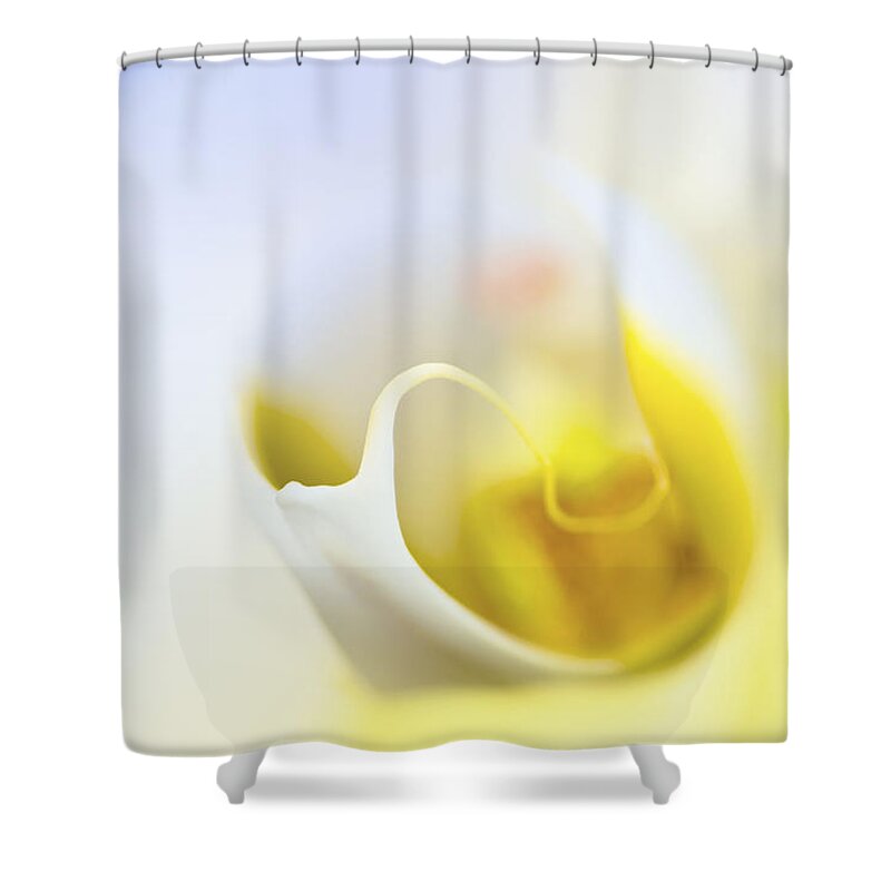 Orchid Shower Curtain featuring the photograph Orchid by Lawrence Knutsson