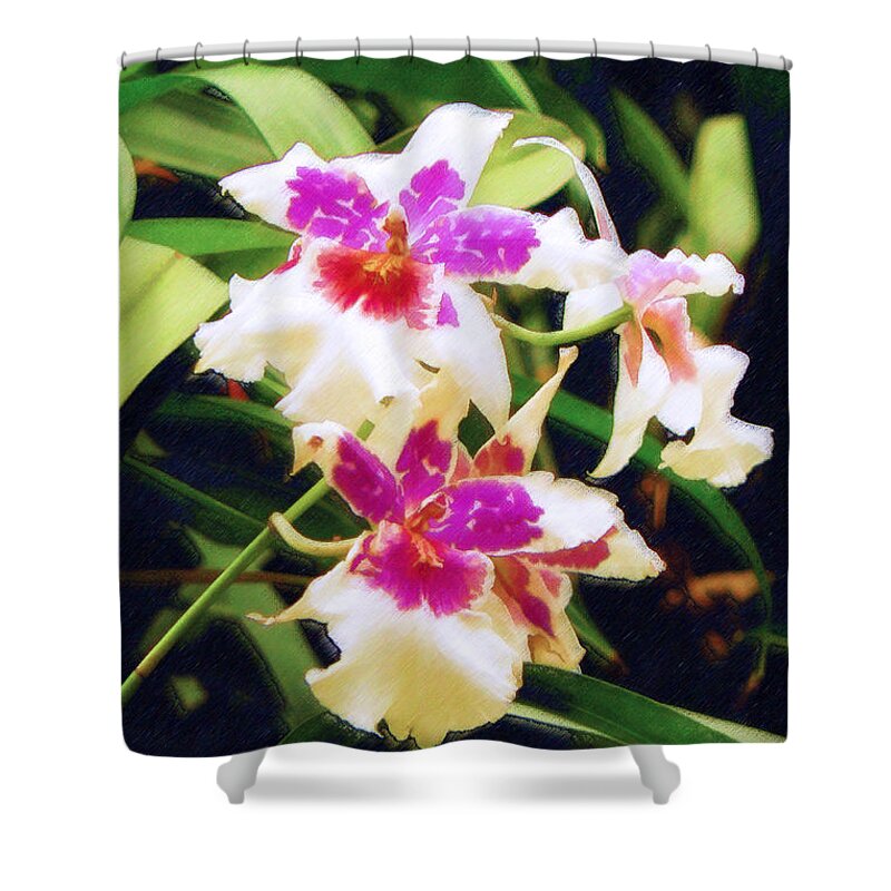 Orchids Shower Curtain featuring the painting Orchids 1 by Sandy MacGowan