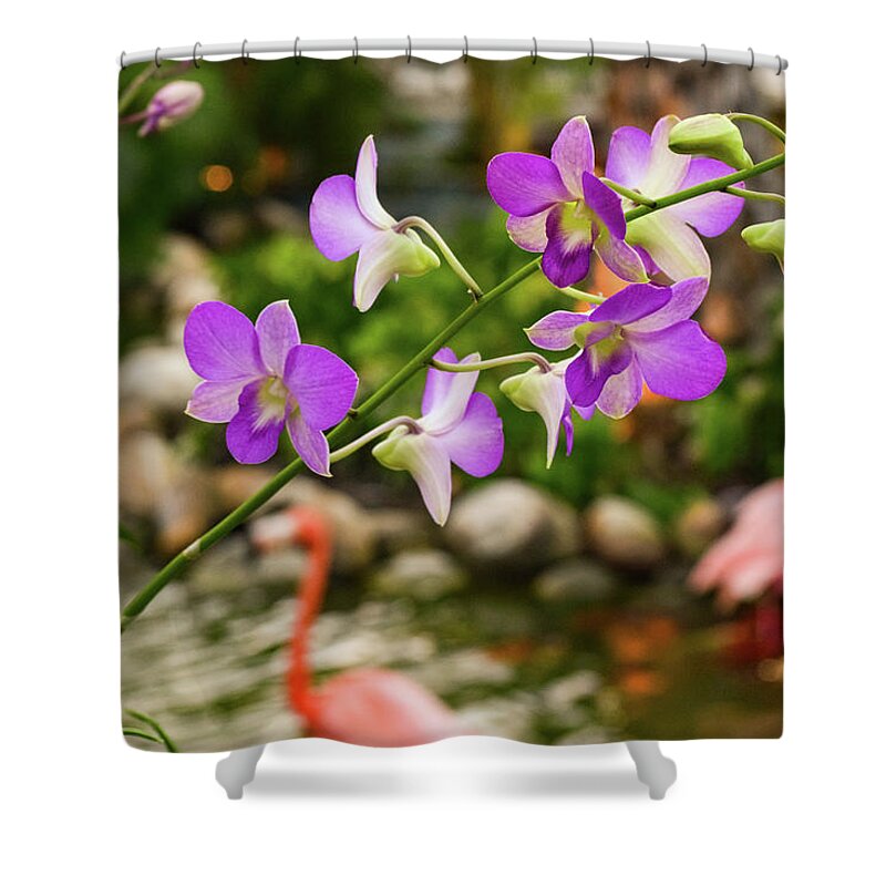 Orchid Shower Curtain featuring the photograph Orchids in Paradise by Nicole Lloyd