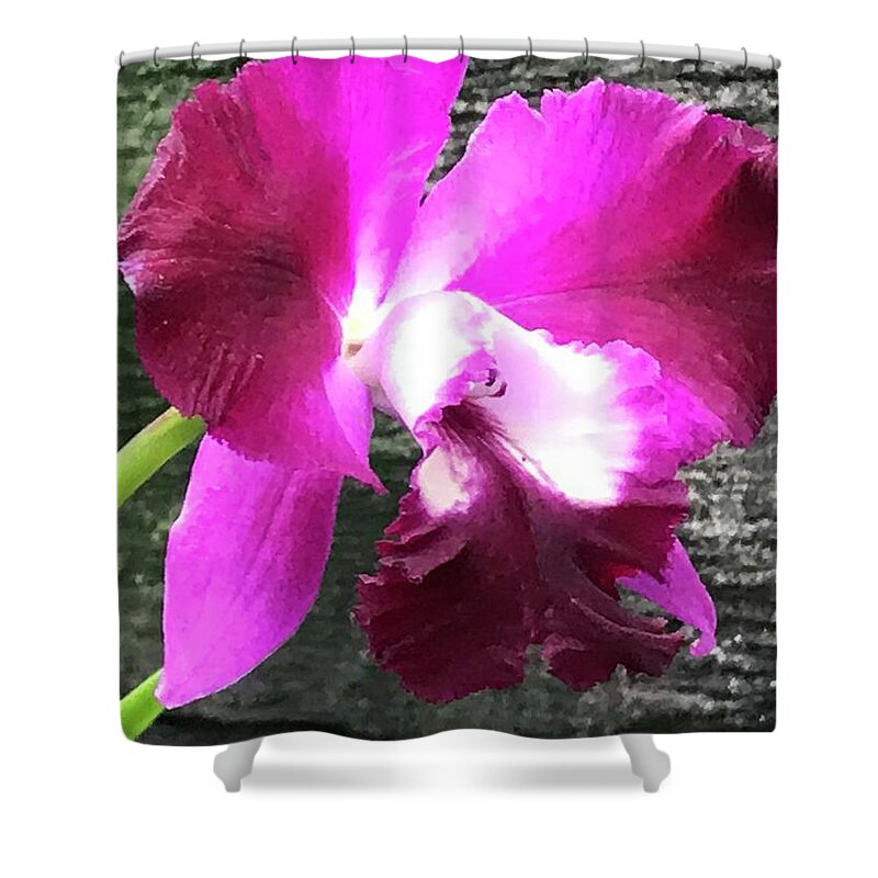 Flowers Shower Curtain featuring the photograph Orchids by Jean Wolfrum