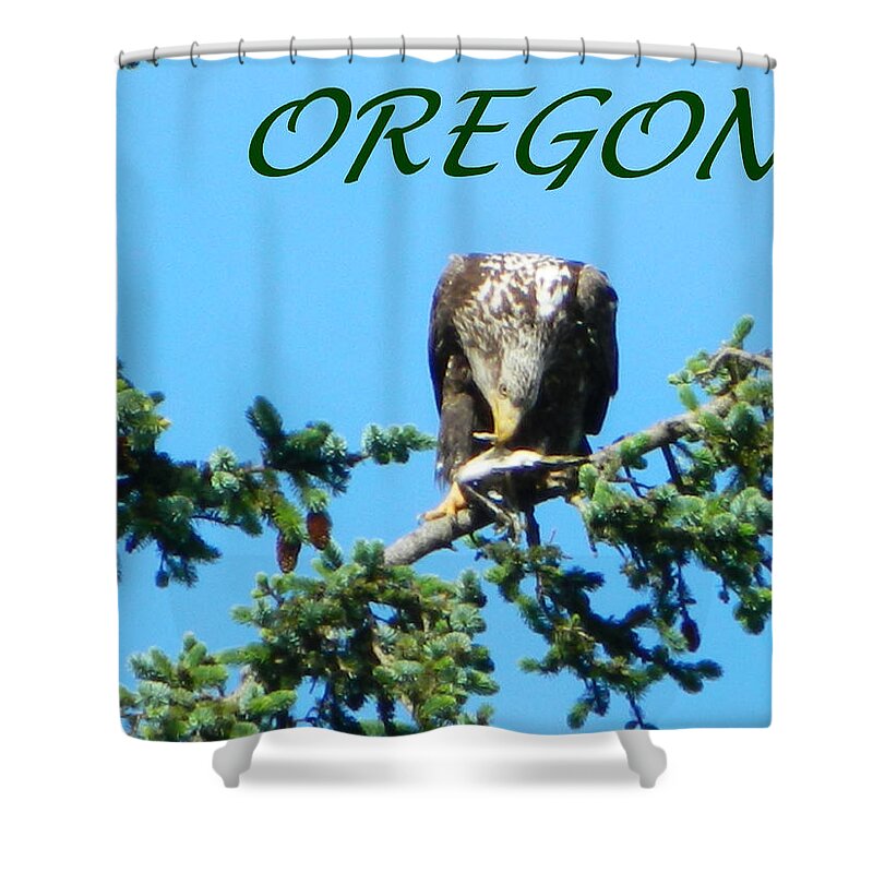 Eagles Shower Curtain featuring the photograph OREGON Eagle Eating Prey by Gallery Of Hope 