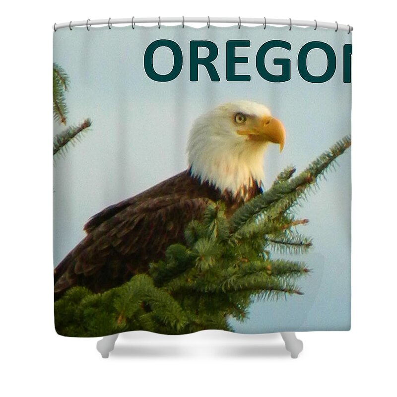 Eagle Shower Curtain featuring the photograph OREGON Eagle by Gallery Of Hope 