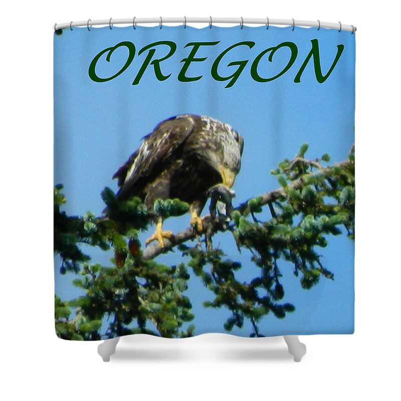 Eagles Shower Curtain featuring the photograph Oregon Eagle with Bird by Gallery Of Hope 