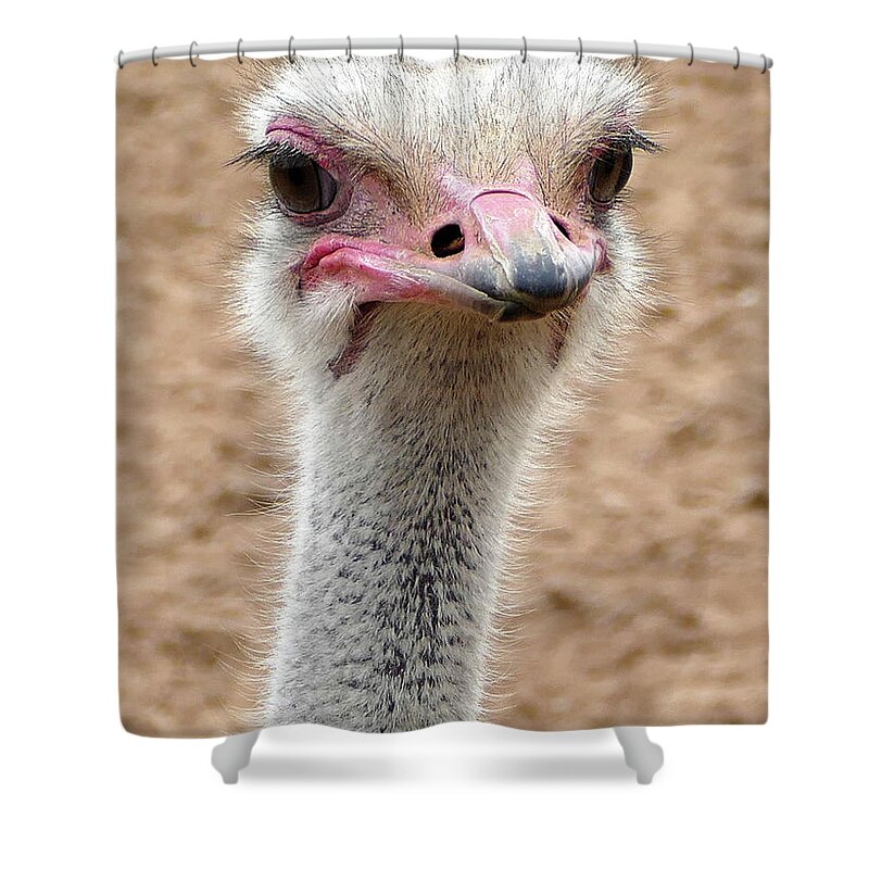 Ostrich Shower Curtain featuring the photograph Ostrich Portrait by Laurel Powell