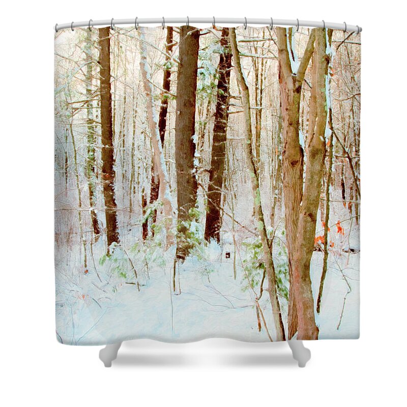 Winter Shower Curtain featuring the photograph Our Backyard After the Snow by Anita Pollak