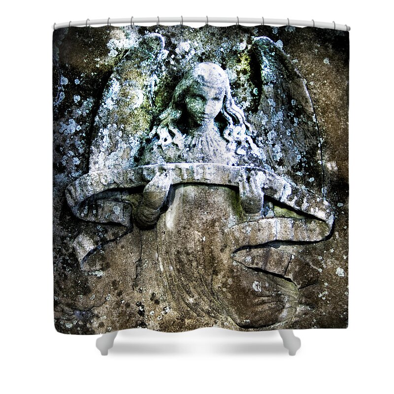 Angel Shower Curtain featuring the photograph Our Little Angel Stone Carving by John Harmon