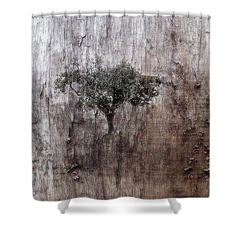 Decay Shower Curtain featuring the digital art Out of Decay by Julian Perry
