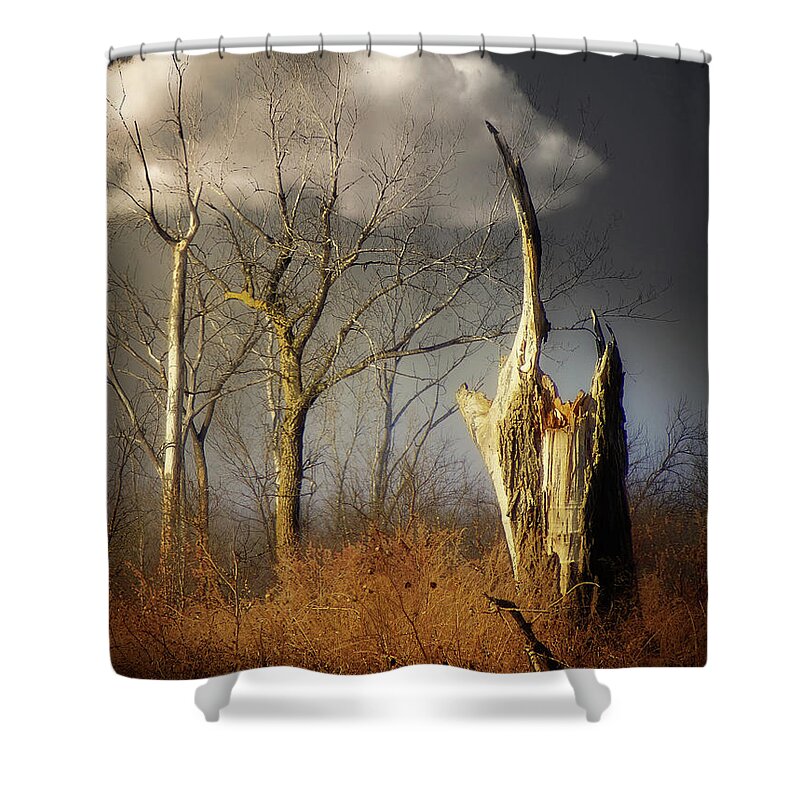 Trees Shower Curtain featuring the photograph Out Of The Blue by John Anderson