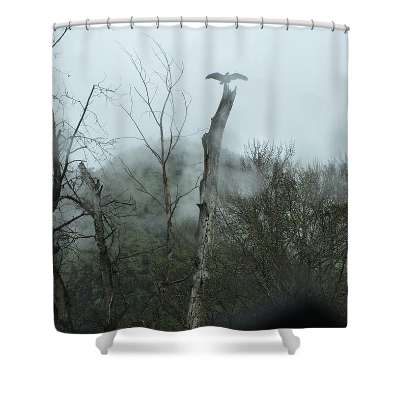 Vulture Shower Curtain featuring the photograph Out of the mist two by Marie Neder